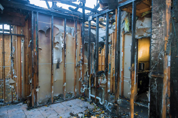 Professional Fire Damage Removal technician working in Frankfort, OH